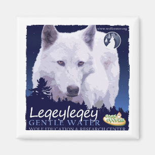 Leqeyleqey magnet (1 av 6)