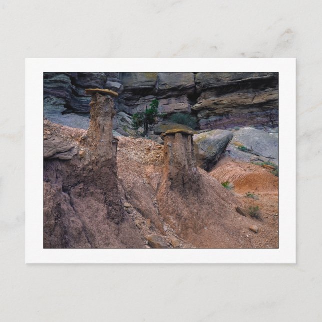 "Lera Caps" Vykort (Framsida)