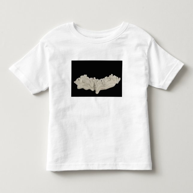 LeraConcretion Tee Shirt (Framsida)
