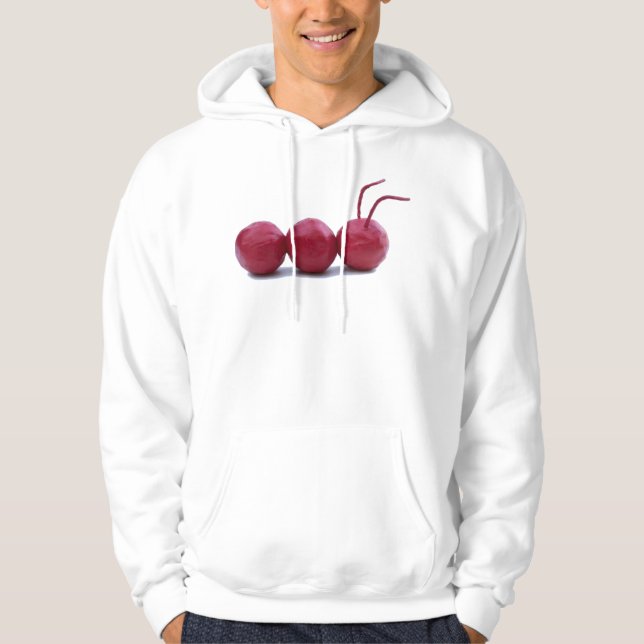 LerakrypHoodie Hoodie (Framsida)