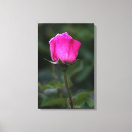 Lerduksutskrift Elegant rosa ros-knopp Canvastryck