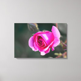 Lerduksutskrift Ros och knoppar Fotografi Canvastryck