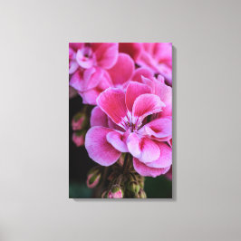 Lerduksutskrift Rosa Geraniumblommor Canvastryck