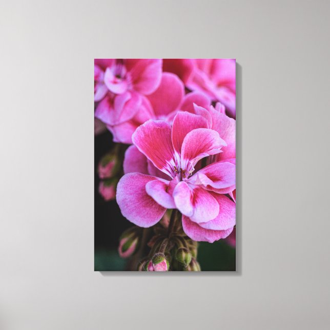 Lerduksutskrift Rosa Geraniumblommor Canvastryck (Framsida)