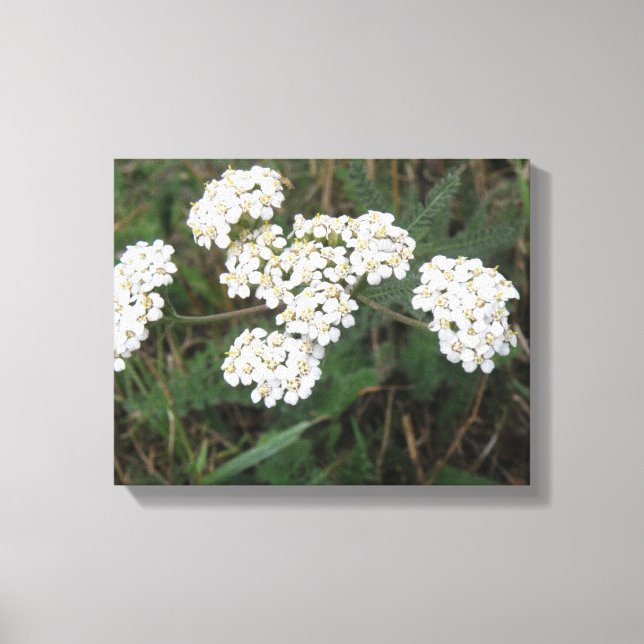 Lerretsduk med vita vilda blommor canvastryck (Framsida)