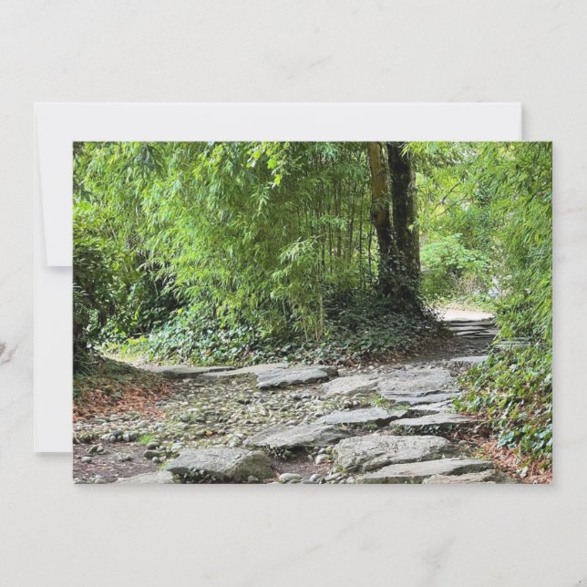 Les bambous (Framsida)