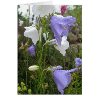 Les Belles Fleurs Hälsningskort