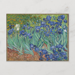 Les Iris Irises Vincent Van Gogh Vykort