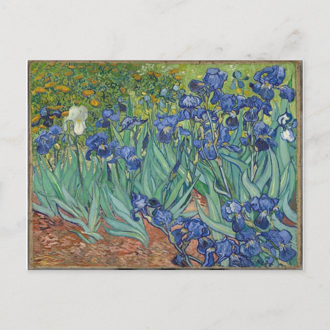 Les Iris Irises Vincent Van Gogh Vykort (Framsida)