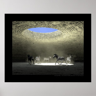 Les prisonniers - fången poster