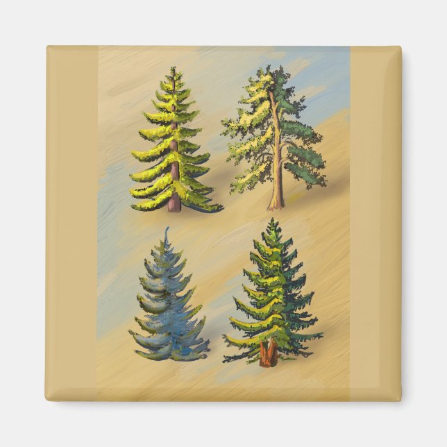 Les quatres variétés de sapins, botanique. magnet (Framsidan)