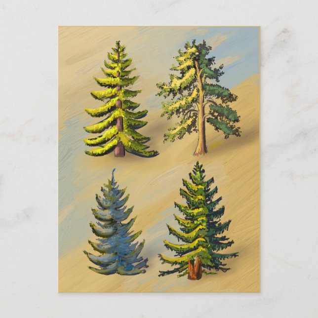 Les quatres variétés de sapins, botanique. vykort (Framsida)