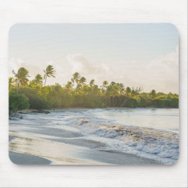 Les Salines beach Martinique Scenic travel Musmatta