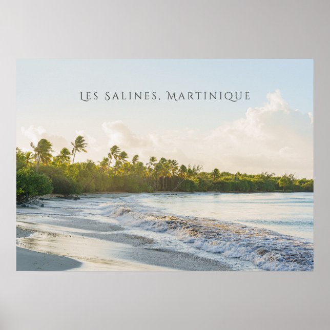 Les Salines beach Martinique Scenic travel  Poster (Framsidan)