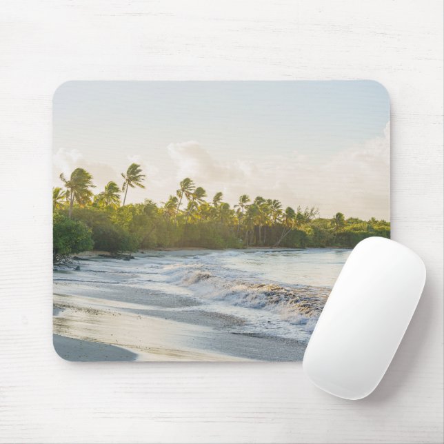 Les Salines strand Martinique Vacker resa Musmatta (Med mus)