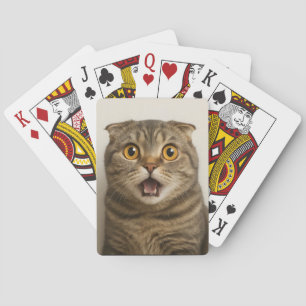 Lesbiska äter Vad Roligt Casinokort