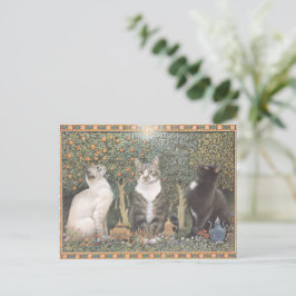 LESLEY ANNE IVORYS CHRISTMAS CAT POSTCARD VYKORT