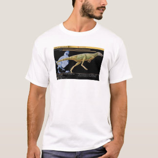 Lesothosaurus - Biology Dinosaur Jurassic T Shirt