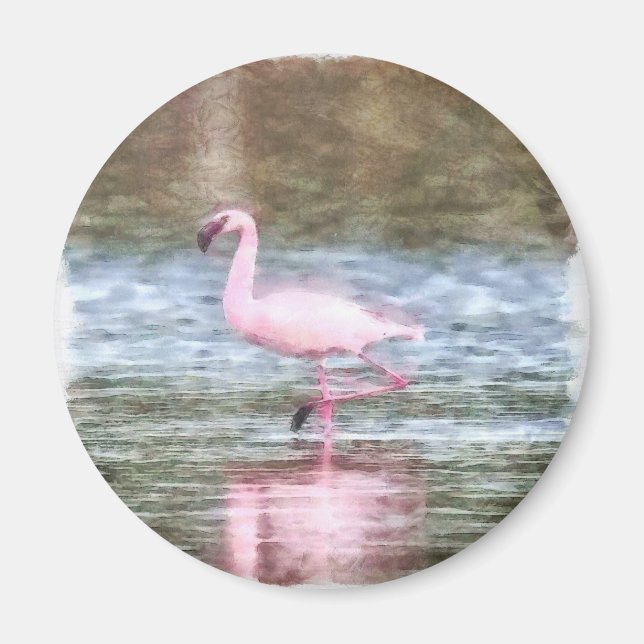 Lesser Flamingo Watercolor Magnet (Framsidan)