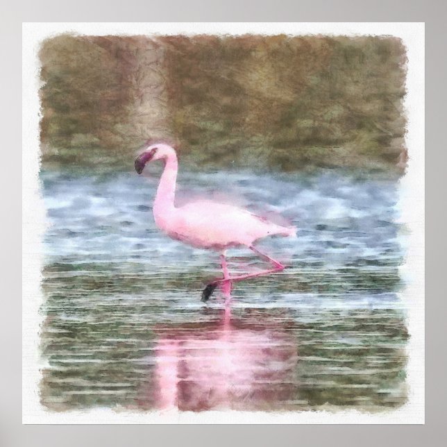 Lesser Flamingo Watercolor Poster (Framsidan)