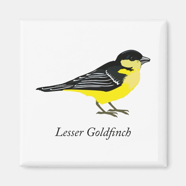 Lesser Goldfinch Magnet (Framsidan)