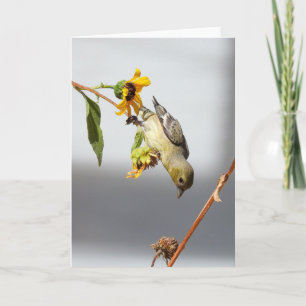 Lesser Goldfinch Notecard Kort