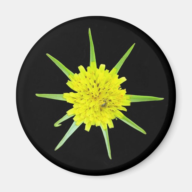 Lesser magnet för Get-skägg vildblomma (Framsidan)