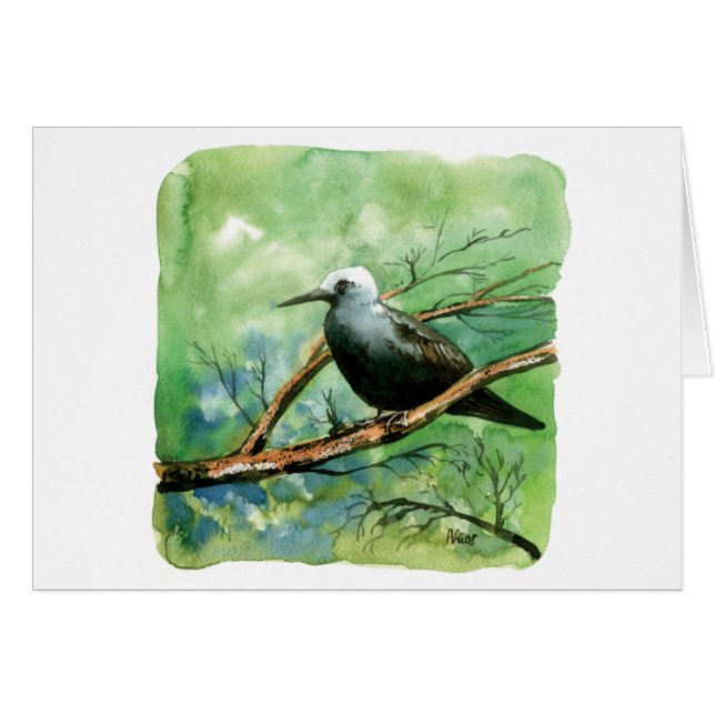 Lesser noddy hälsningskort (Framsidan Horizontal)