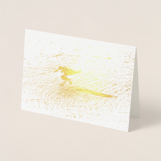 Lesser Sandplover Folierat Kort (Framsida)