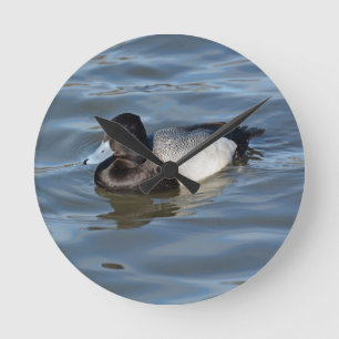 Lesser Scaup Anka Rund Klocka