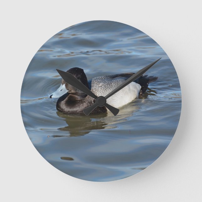 Lesser Scaup Anka Rund Klocka (Framsida)