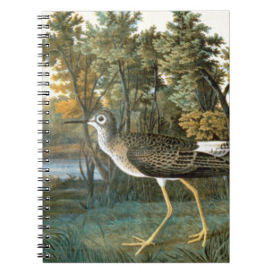 Lesser Yellowlegs Anteckningsbok Med Spiral