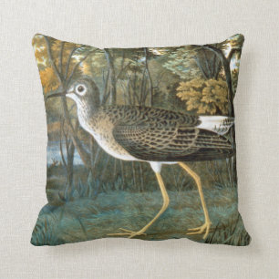 Lesser Yellowlegs Kudde