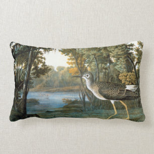 Lesser Yellowlegs Lumbarkudde