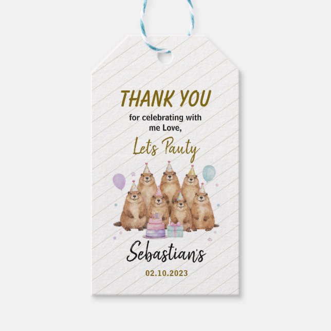 Let’s Party Groundhog 5th Birthday – Fun Kids Presentetikett (Framsidan)