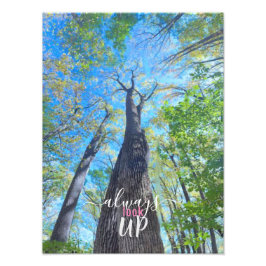 Leta alltid upp hösten himlar och löv fototryck