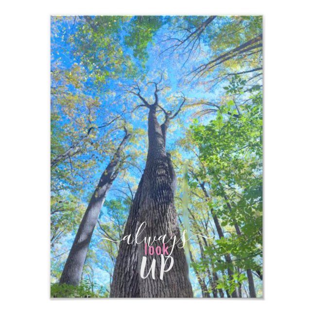 Leta alltid upp hösten himlar och löv fototryck (Framsidan)