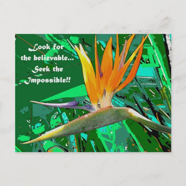 Leta efter.. vykort (Framsida)