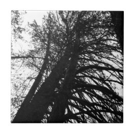 Leta upp i träd kakelplatta