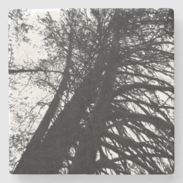 Leta upp i träd stenunderlägg