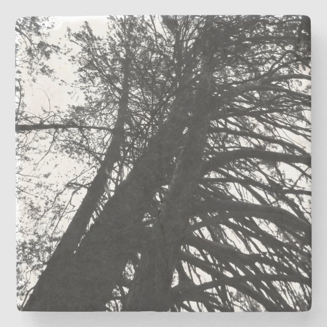 Leta upp i träd stenunderlägg (Framsidan)