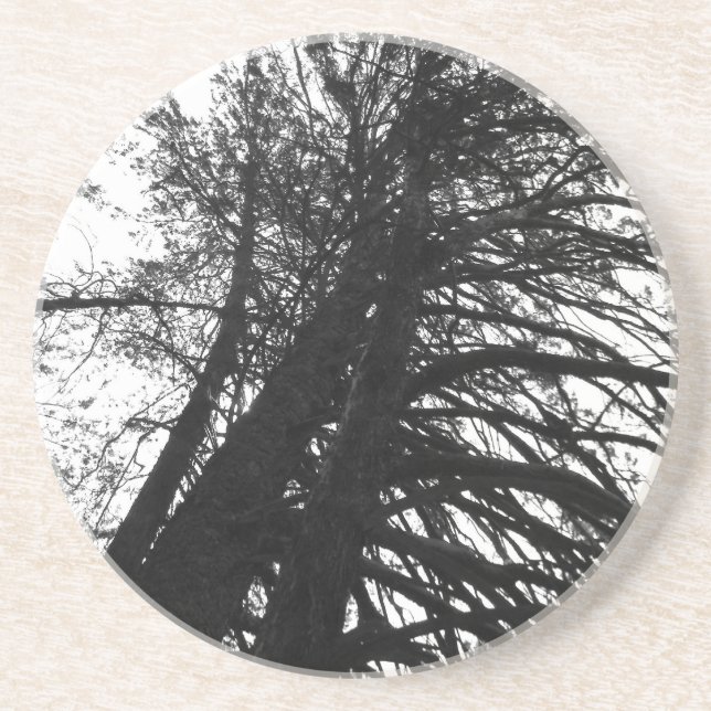 Leta upp i träd underlägg (Framsidan)