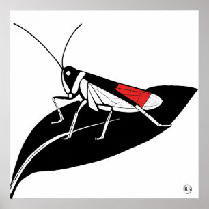 Leta upp på en Löv - Arkivteckningsutskrift Poster