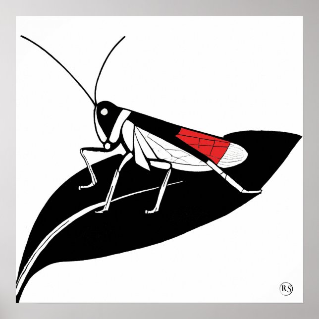 Leta upp på en Löv - Arkivteckningsutskrift Poster (Framsidan)