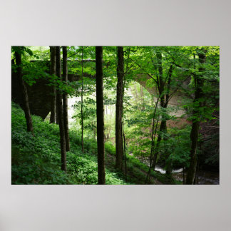 Letchworth Bridge Green Forest 36" x 24" Poster