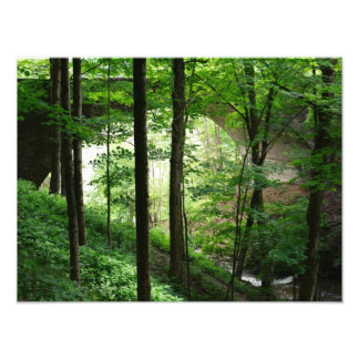 Letchworth Bridge Green Forest Fine Art Fototryck