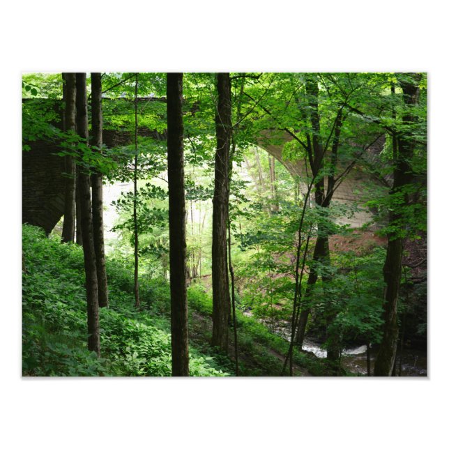 Letchworth Bridge Green Forest Fine Art Fototryck (Framsidan)
