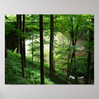 Letchworth Bridge Green Forest Poster