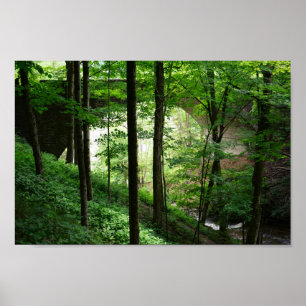 Letchworth Bridge Grönt Forest Poster