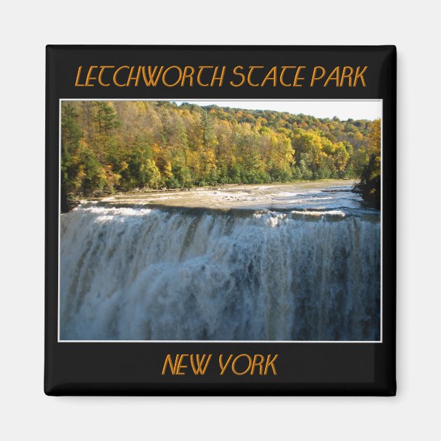 Letchworth State Park Mitten Falls Magnet (Framsidan)